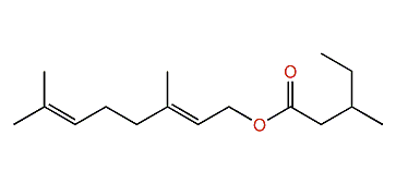 (E)-3,7-Dimethyl-2,6-octadienyl 3-methylpentanoate